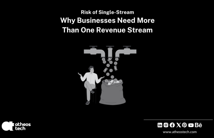 Revenue Stream